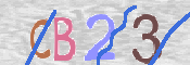 CAPTCHA-Bild